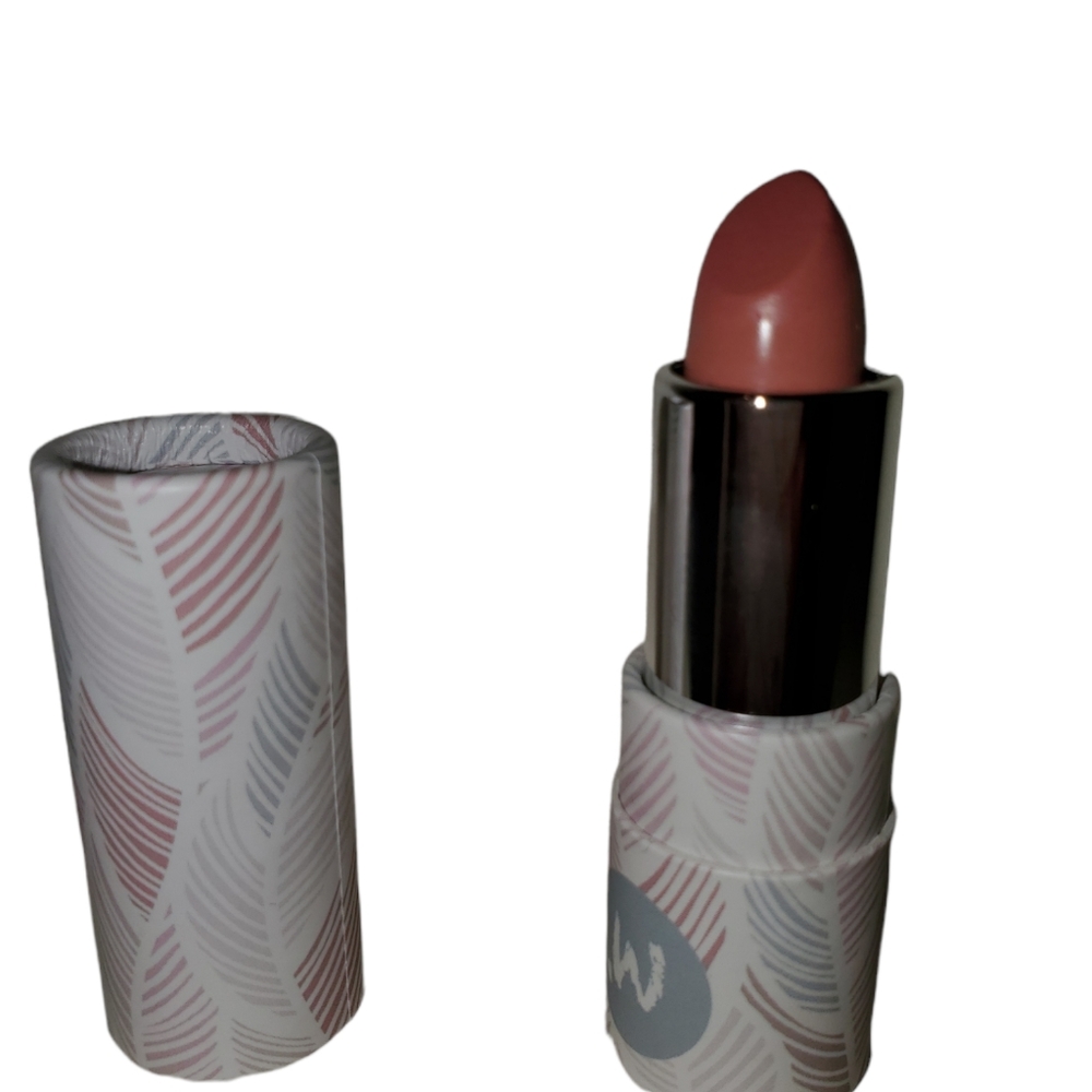 NWOT Color the world lipstick